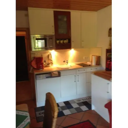Appealing In Apartment Lenzkirch