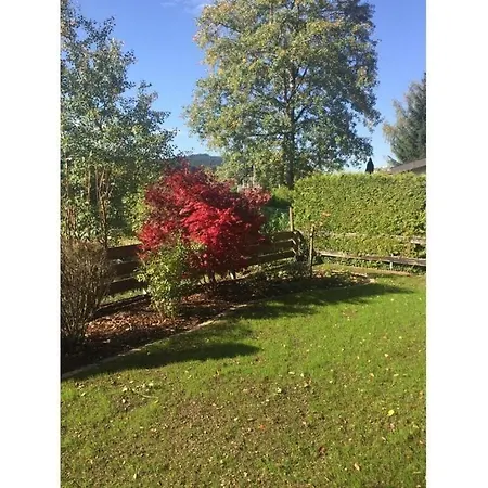 Appealing In Apartamento Lenzkirch