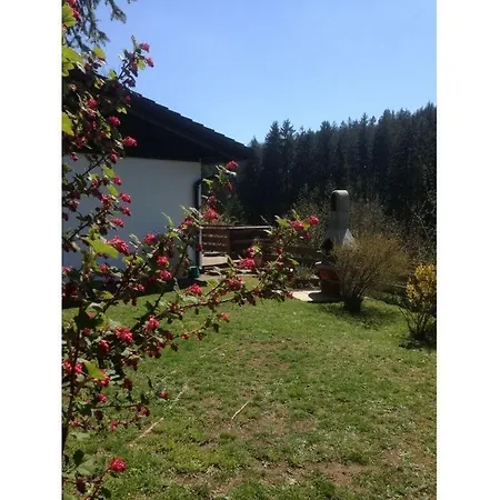 Appealing In Lenzkirch