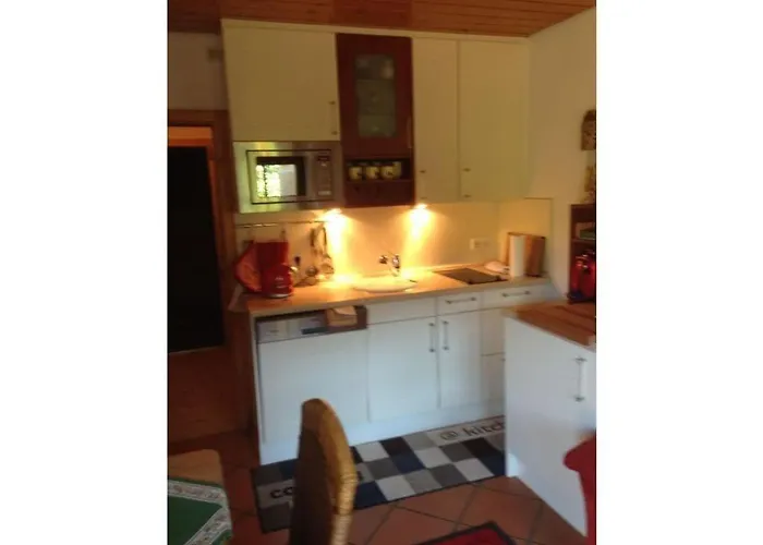 Appealing In Lägenhet Lenzkirch