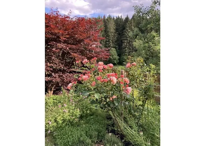 Appealing In Apartamento Lenzkirch