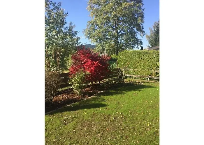 Appealing In Lägenhet Lenzkirch