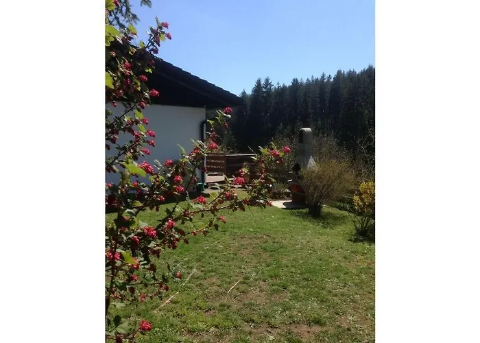 Appealing In Lenzkirch